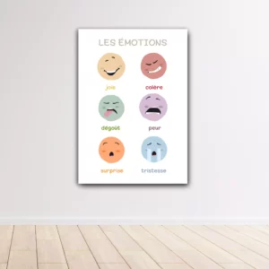 Affiche des émotions