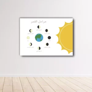 Affiche des phases de la lune